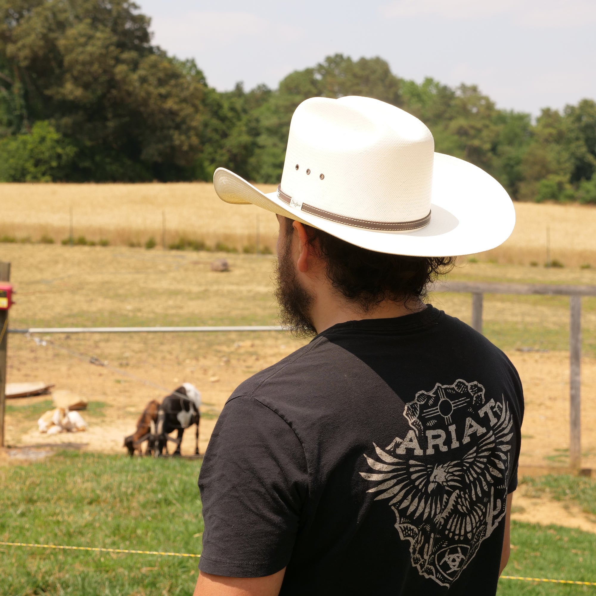 reistol 10x lambert straw hat