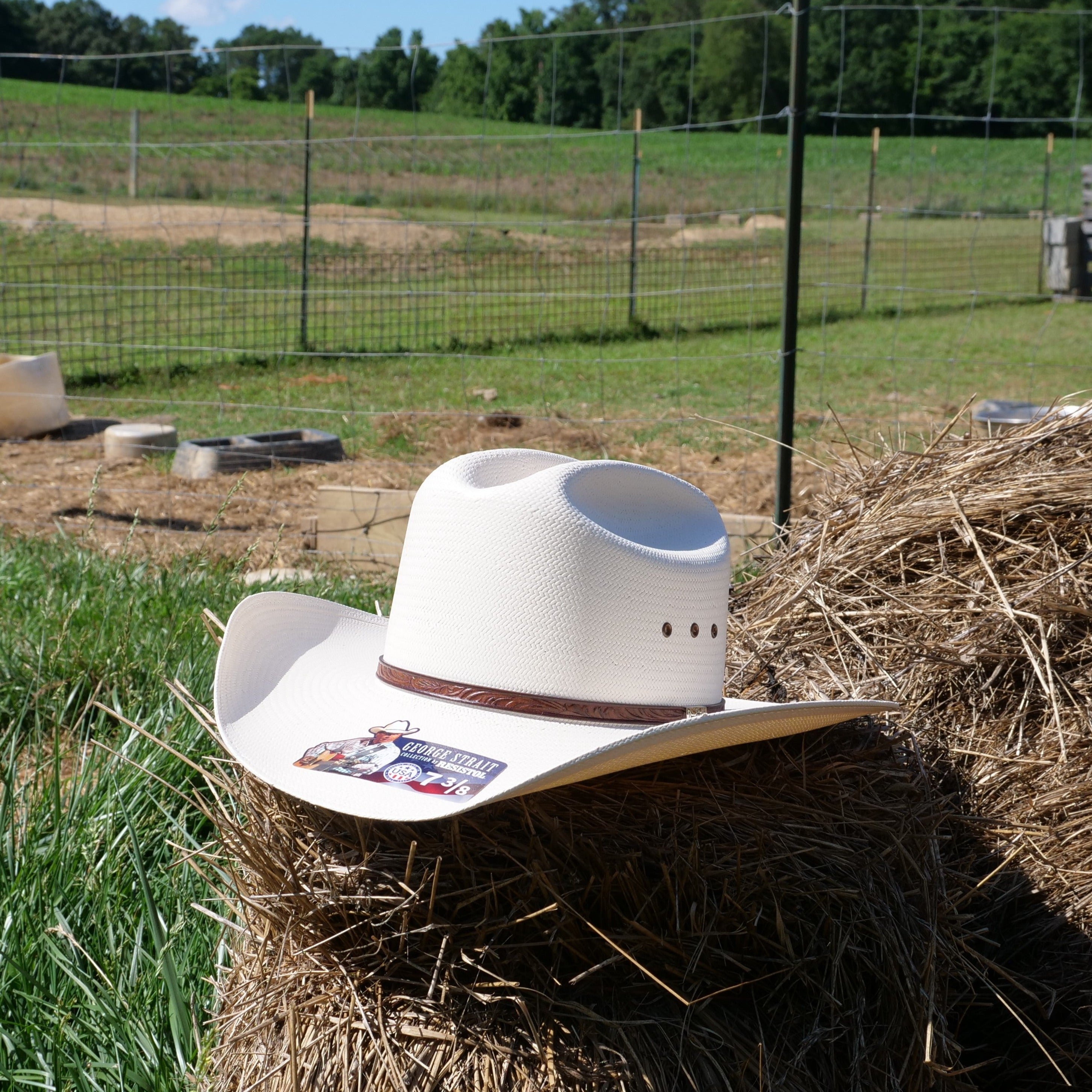 Resistol Long Oval Straw Hat Festival Coachella Resistol Snake River Straw Hat – The Shop Outpost main image 4