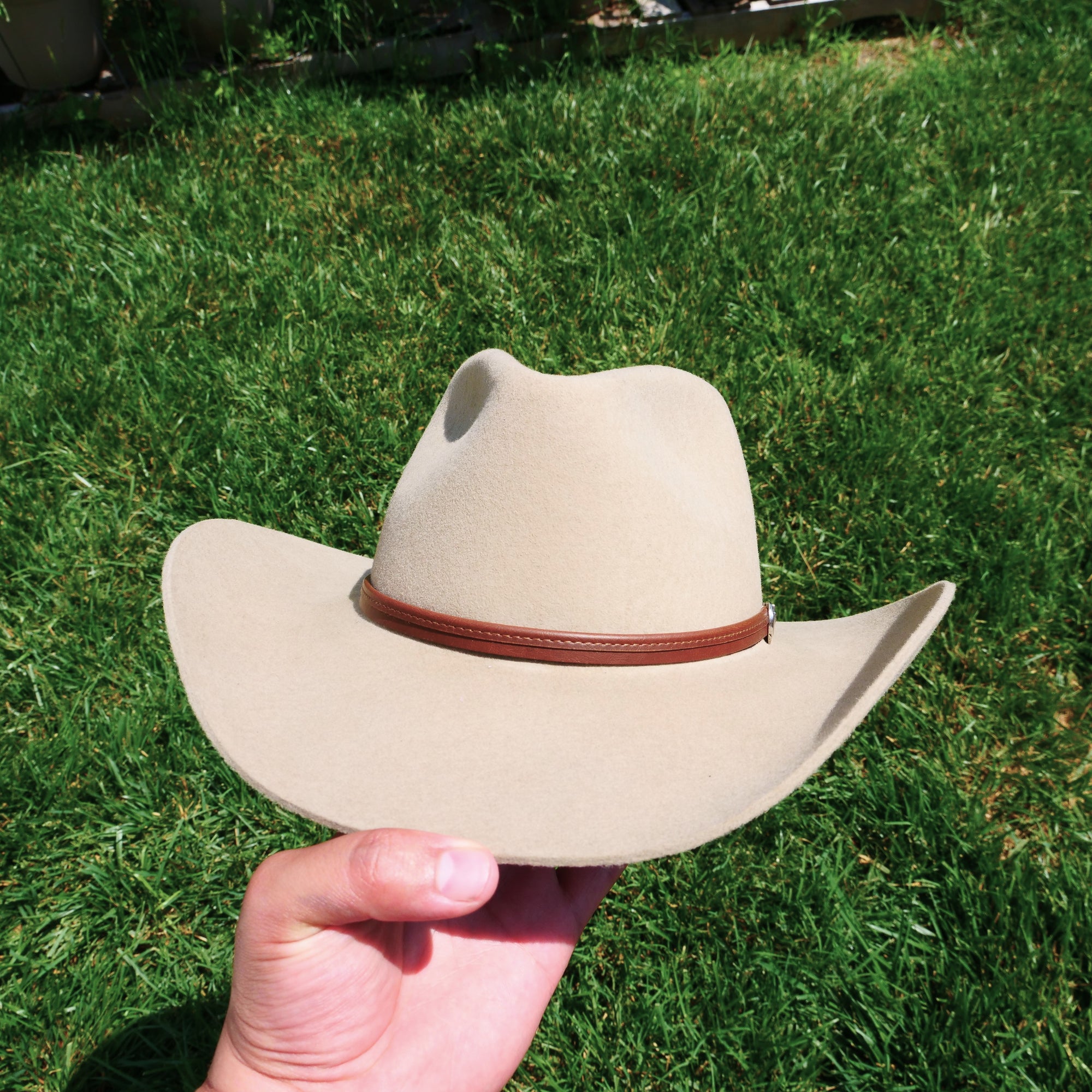 Stetson Seneca 4x Buffalo Hat in Silversand and Black