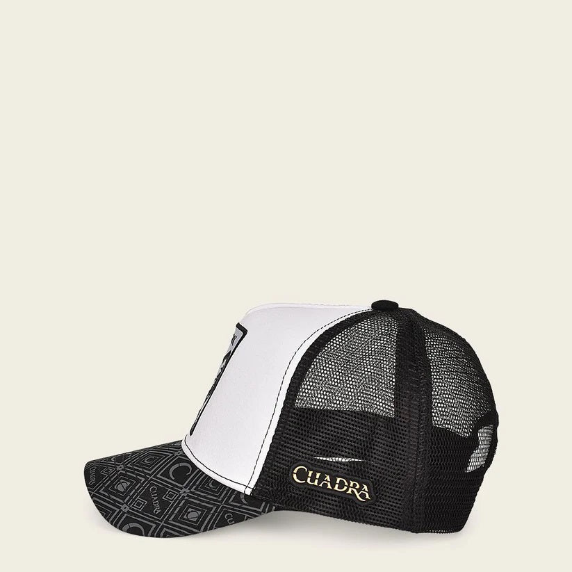 gorra cuadra tiburon