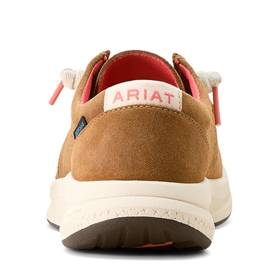 ariat shoes for women