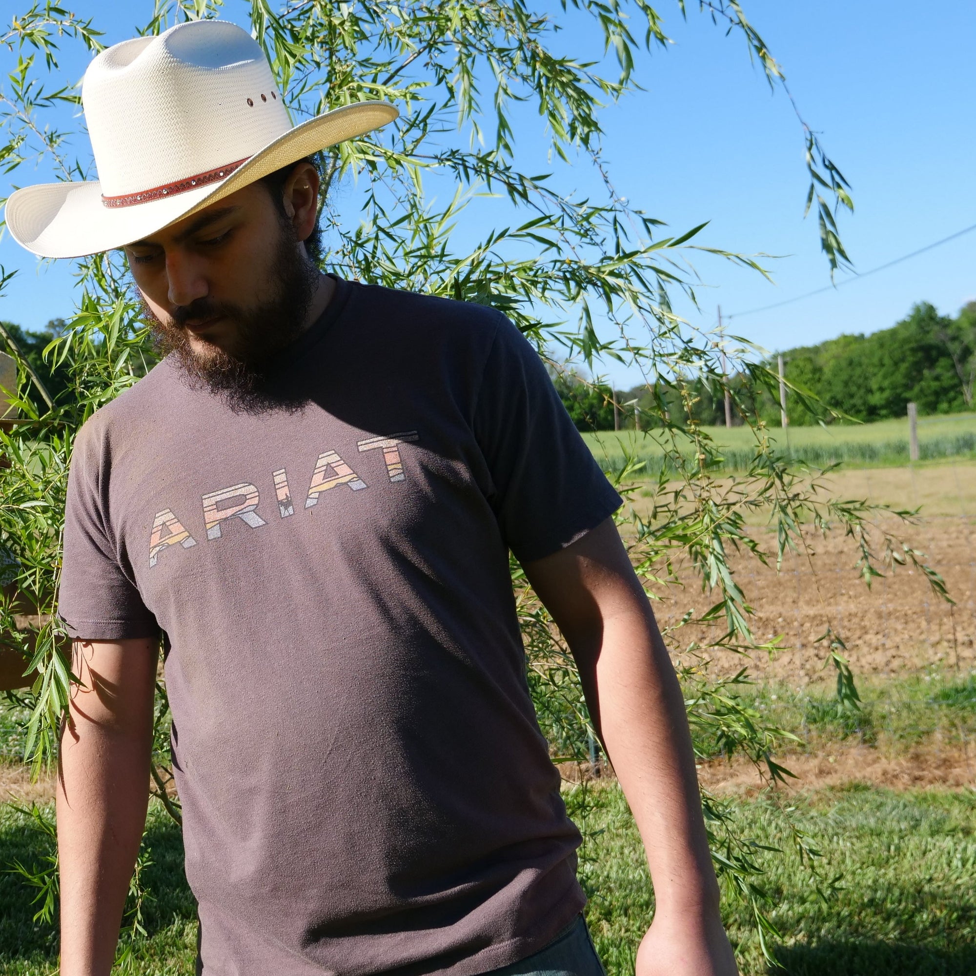 stetson haywood hat