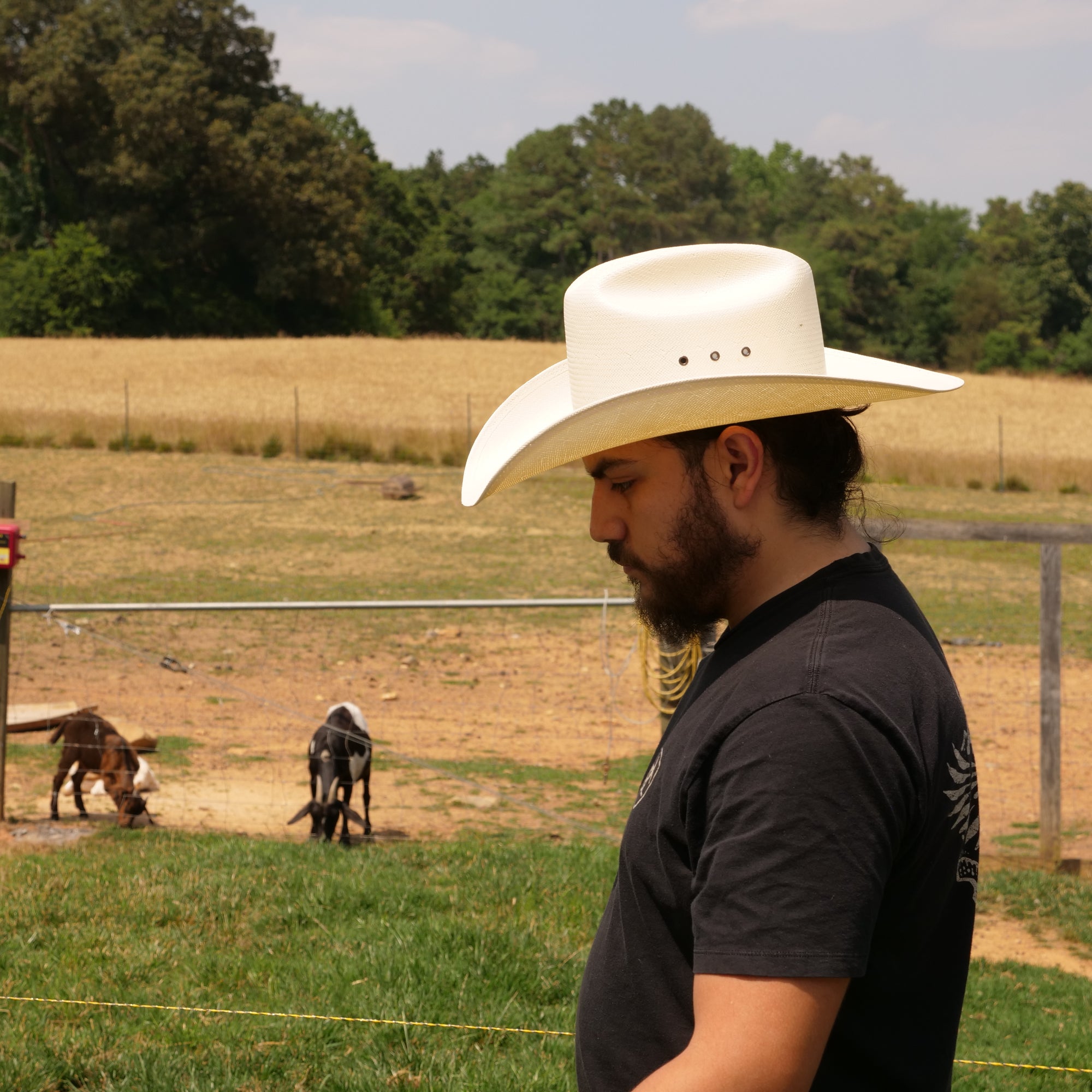 stetson straw cowboy hats