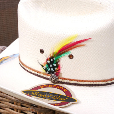 pluma stetson de colors para sombrero y texanas