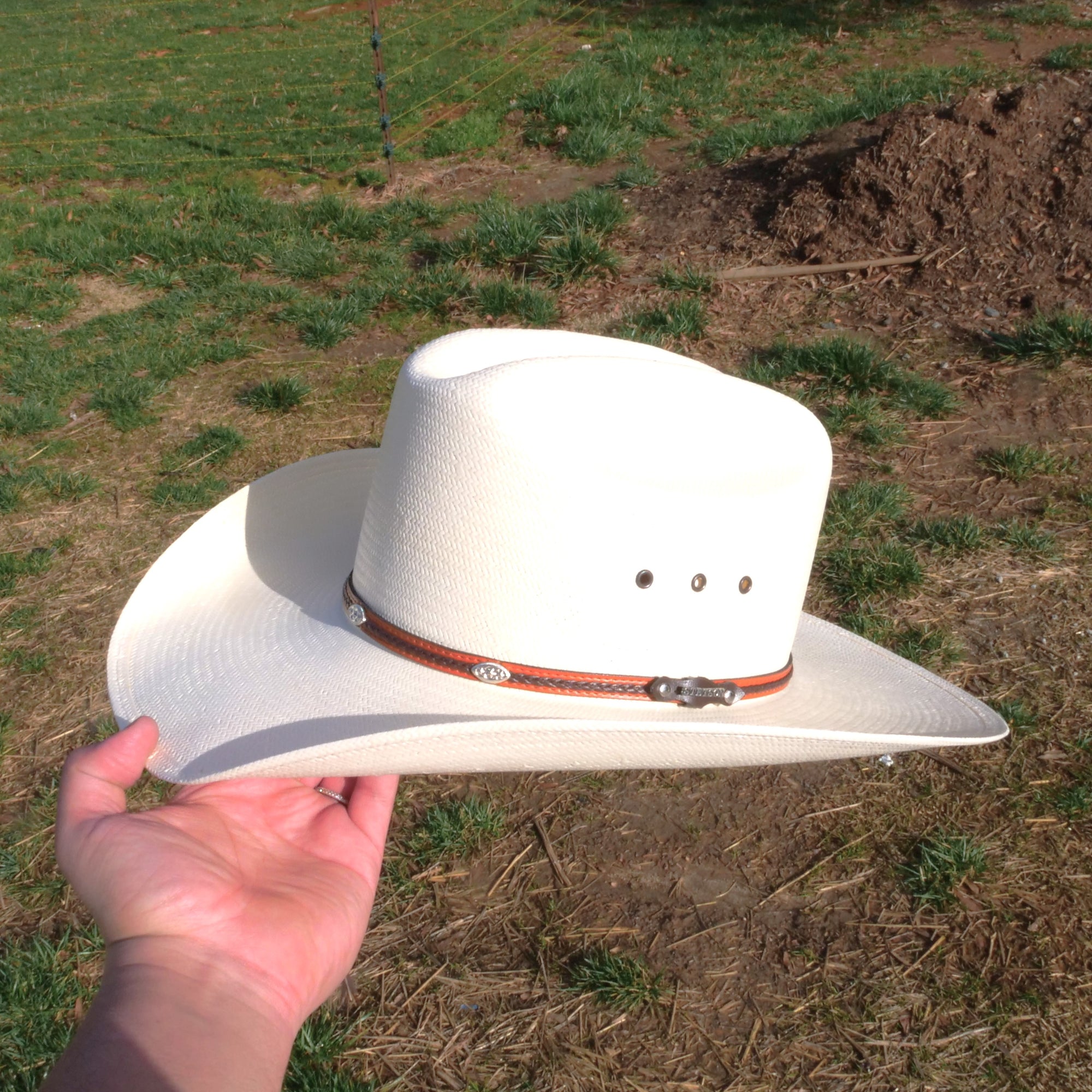 stestson alamo hat 