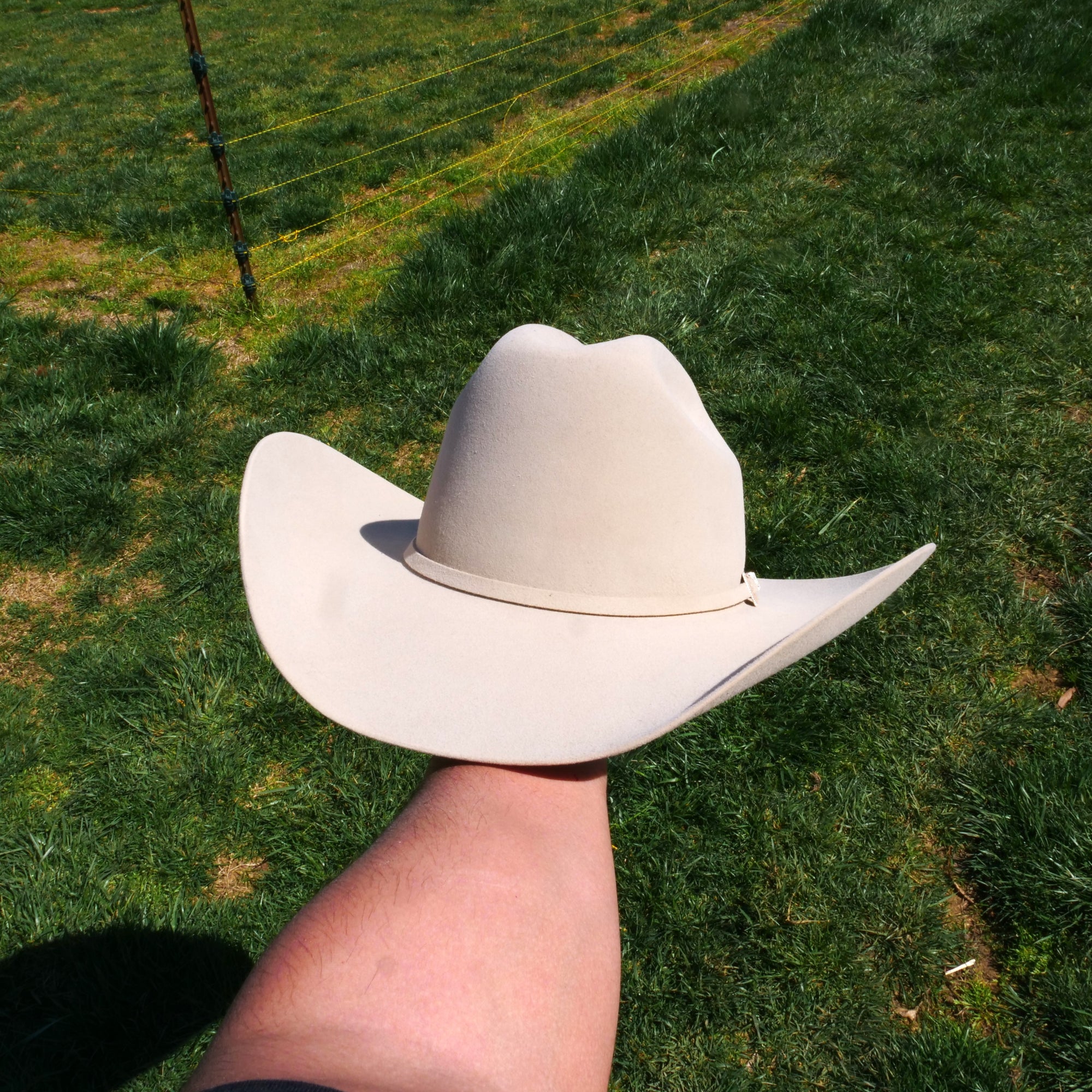 stetson skyline silverbelly hat