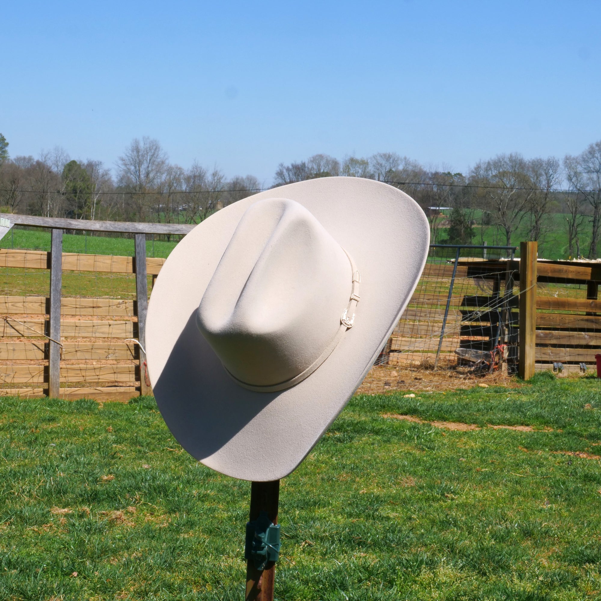 stetson skyline silverbelly hat