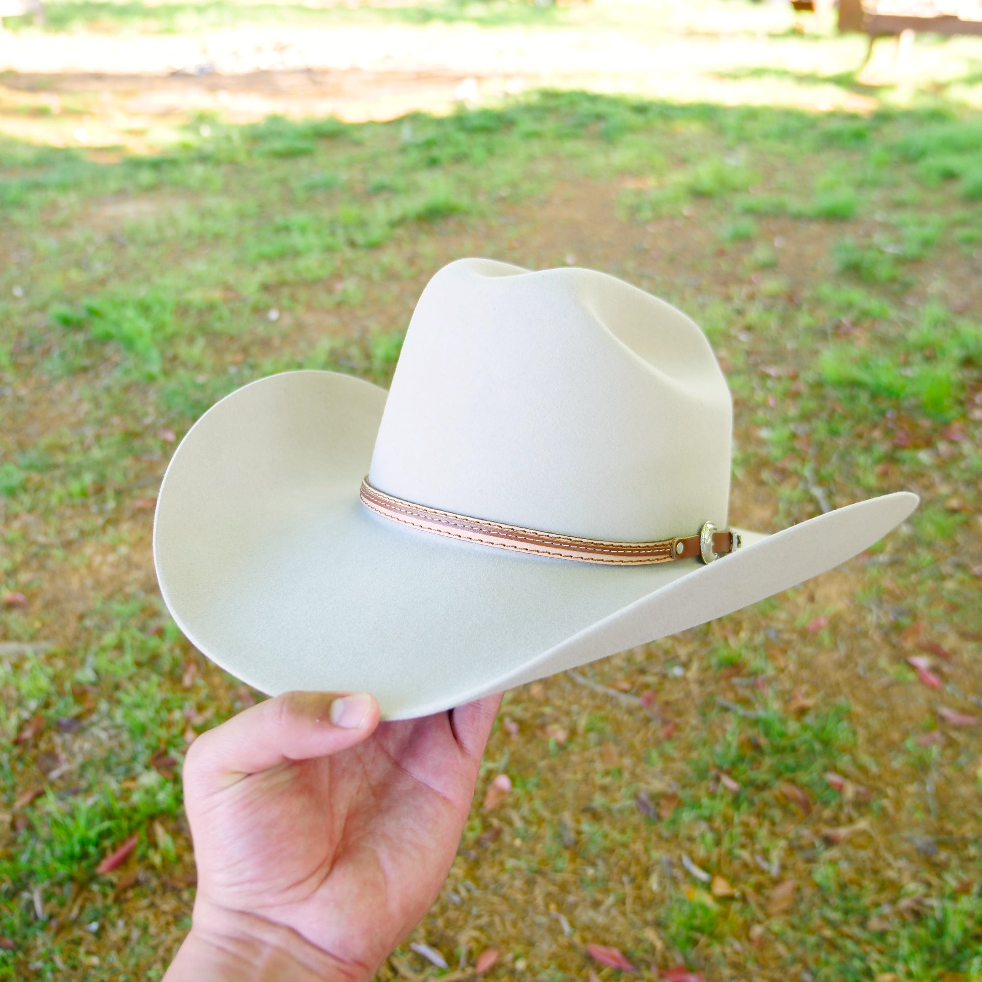 resistol ponderosa hat