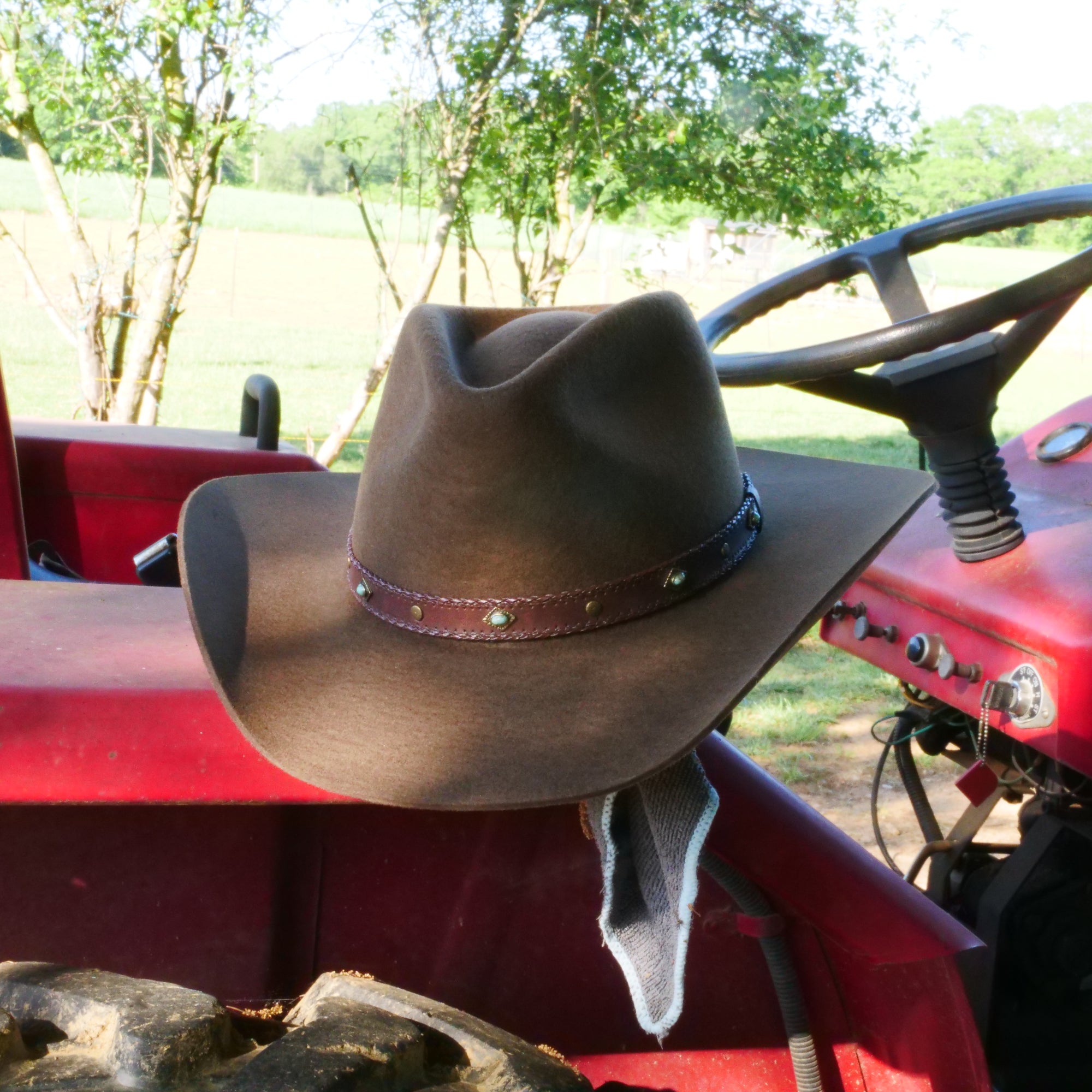 stetson cowboy western outdoor hat brown buffalo