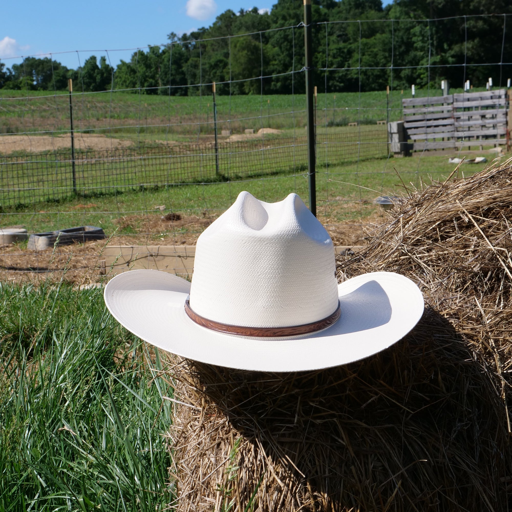 10x straw cowoby hats