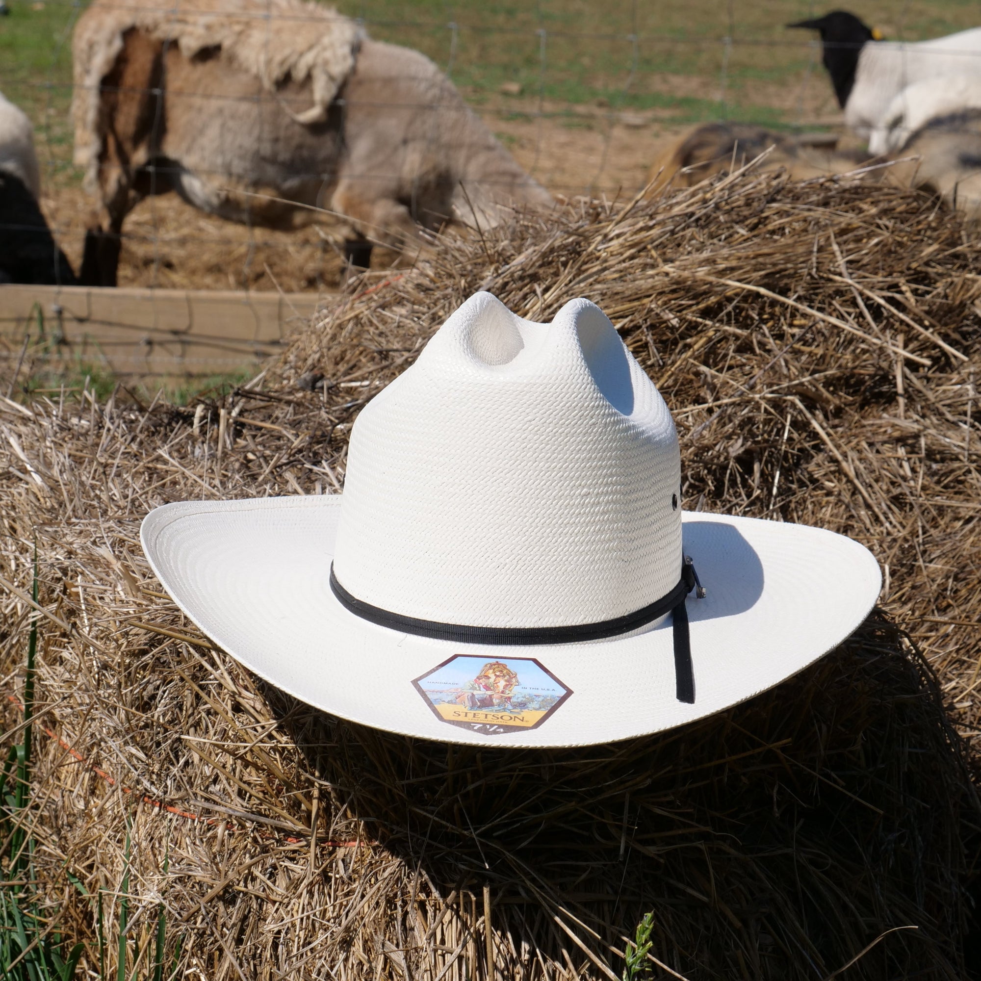 stetson rancher 10x straw cowoby hat