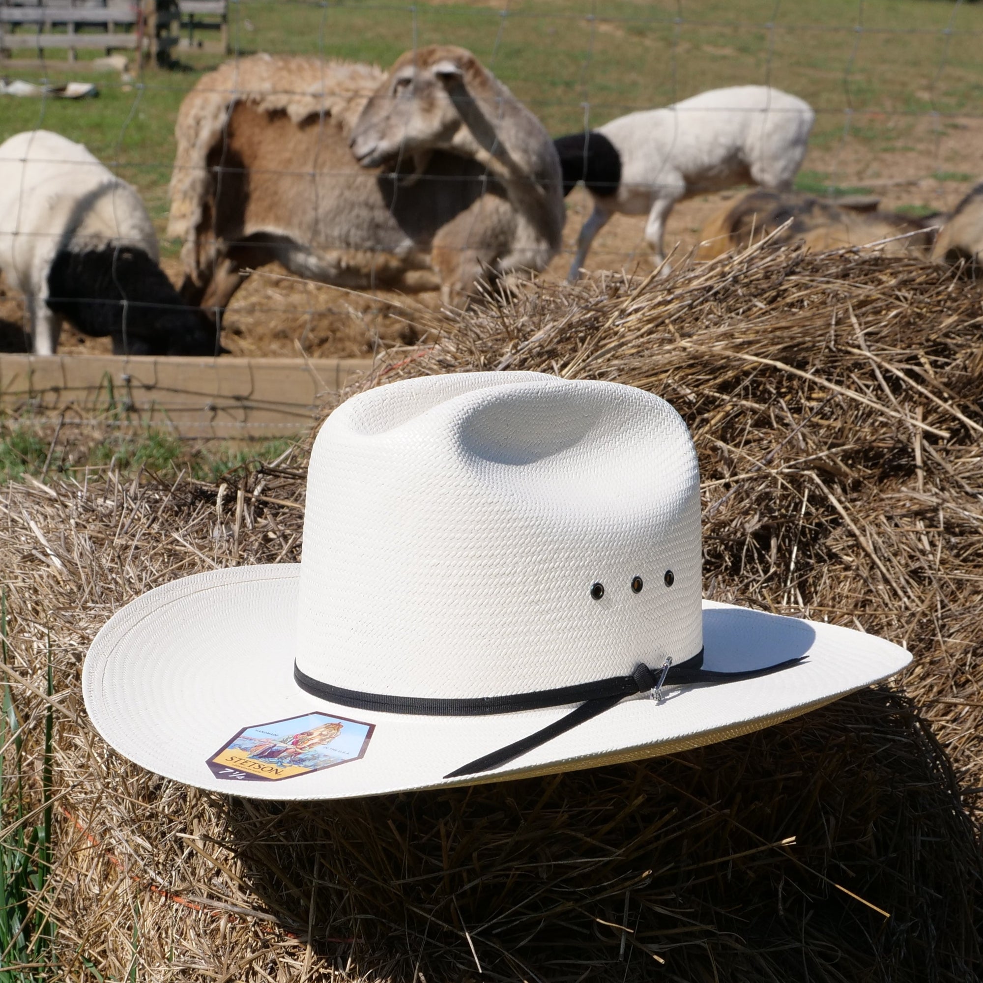 stetson rancher 10x straw cowoby hat