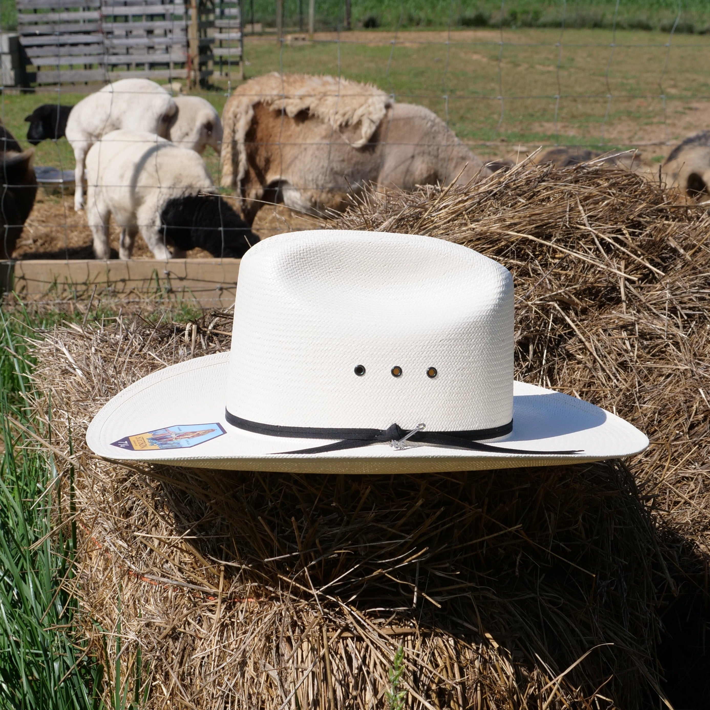 Stetson Rancher 10x Straw Hat with Ribbon – ELP Western