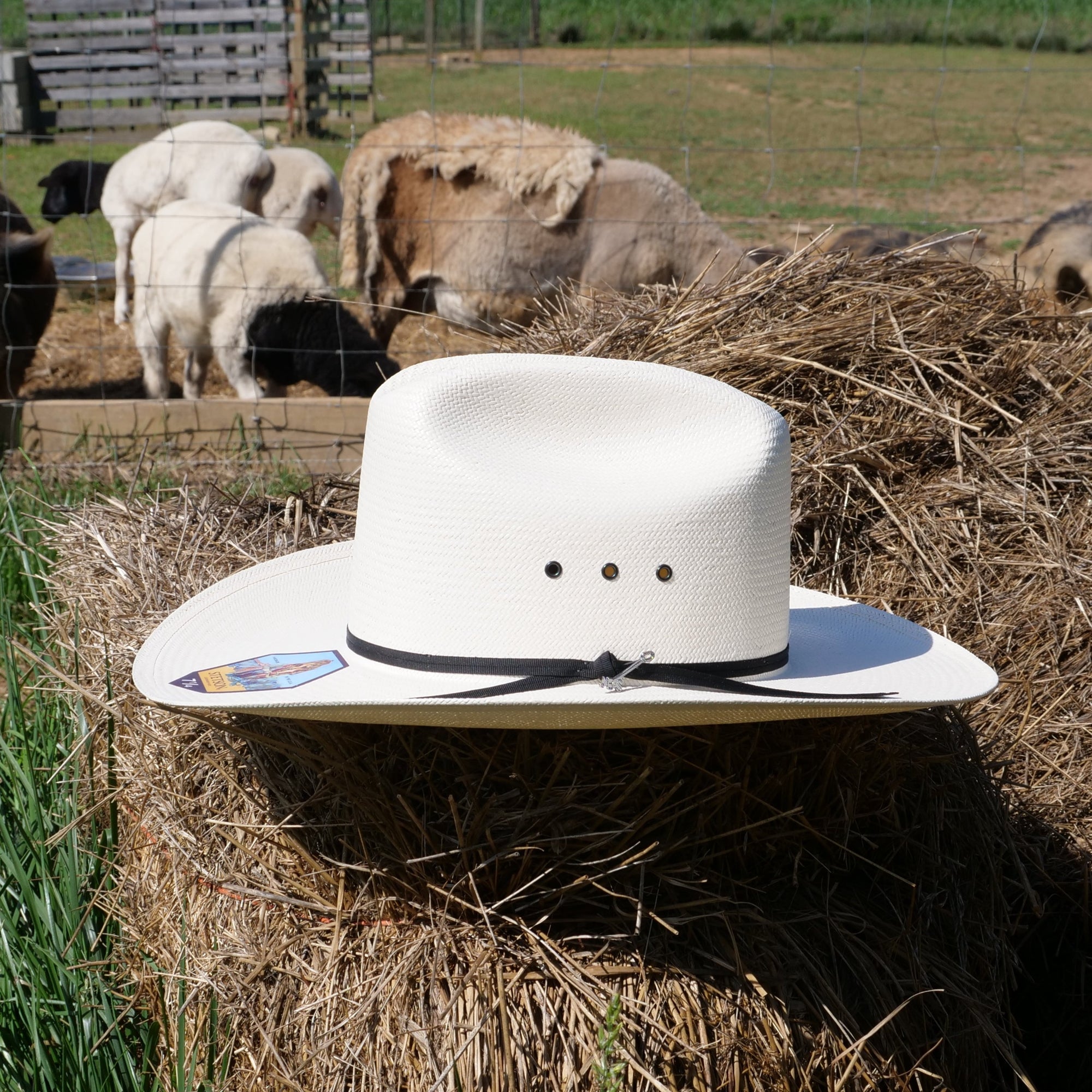 stetson rancher 10x straw cowoby hat