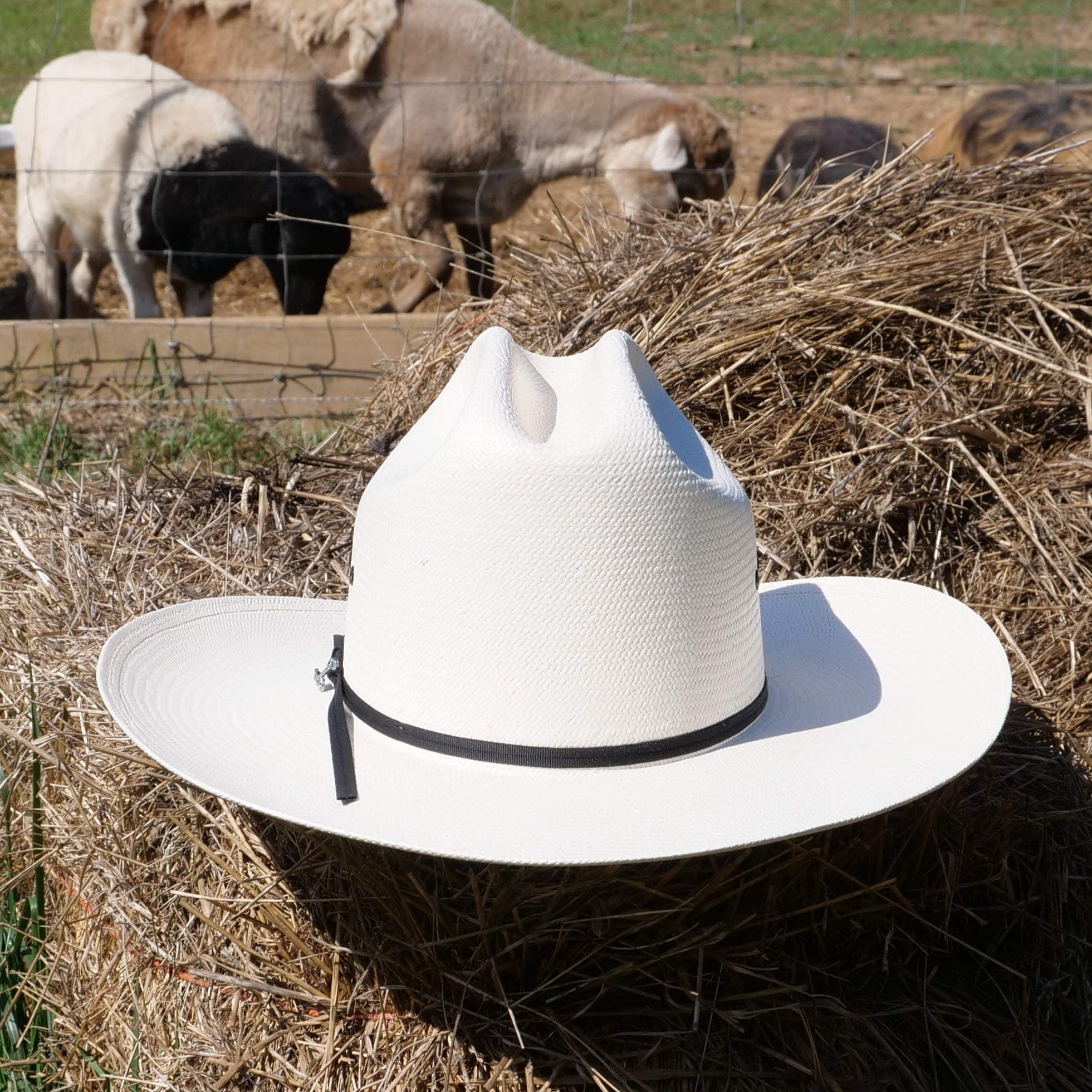 stetson rancher 10x straw cowoby hat