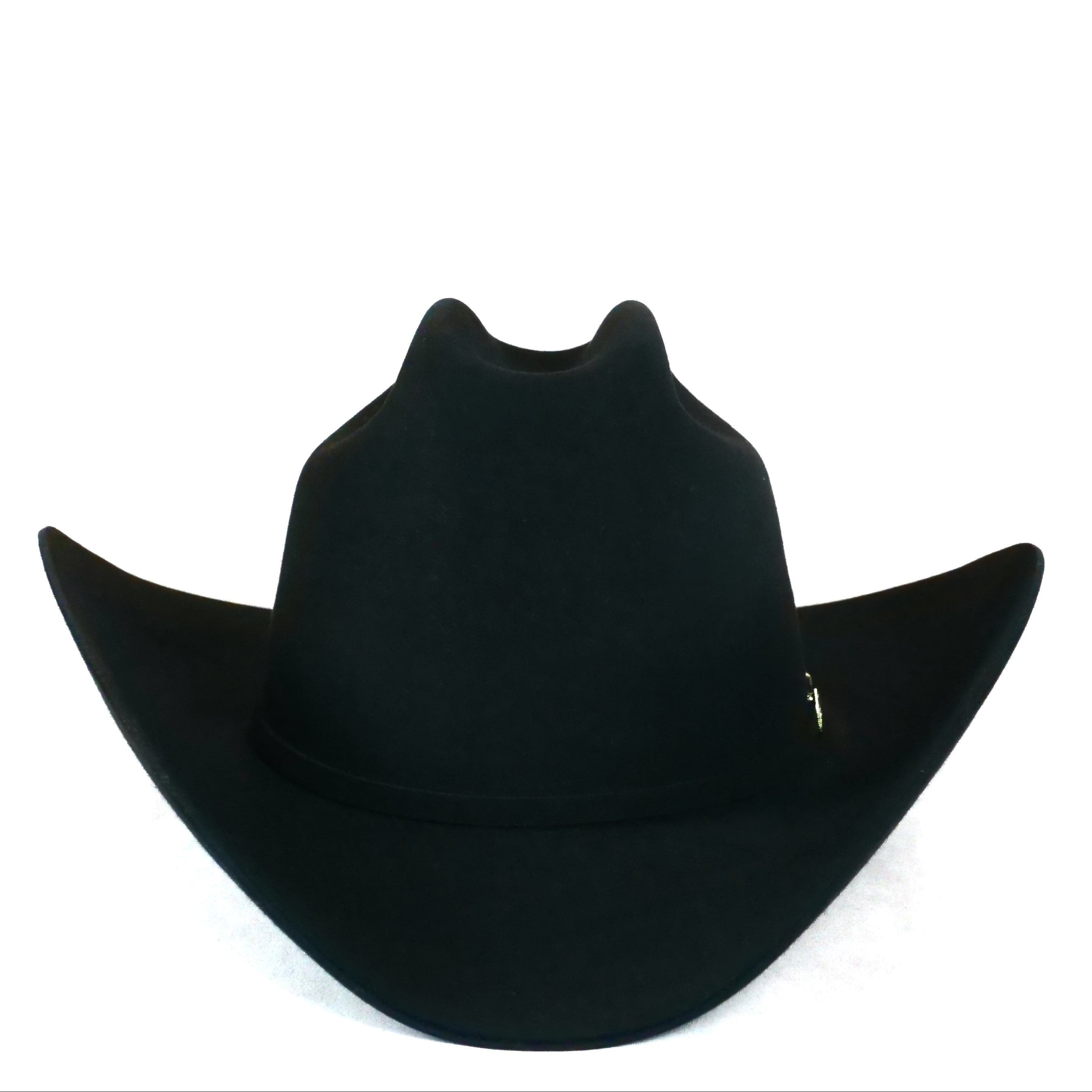 Tejanas stetson 100x on sale