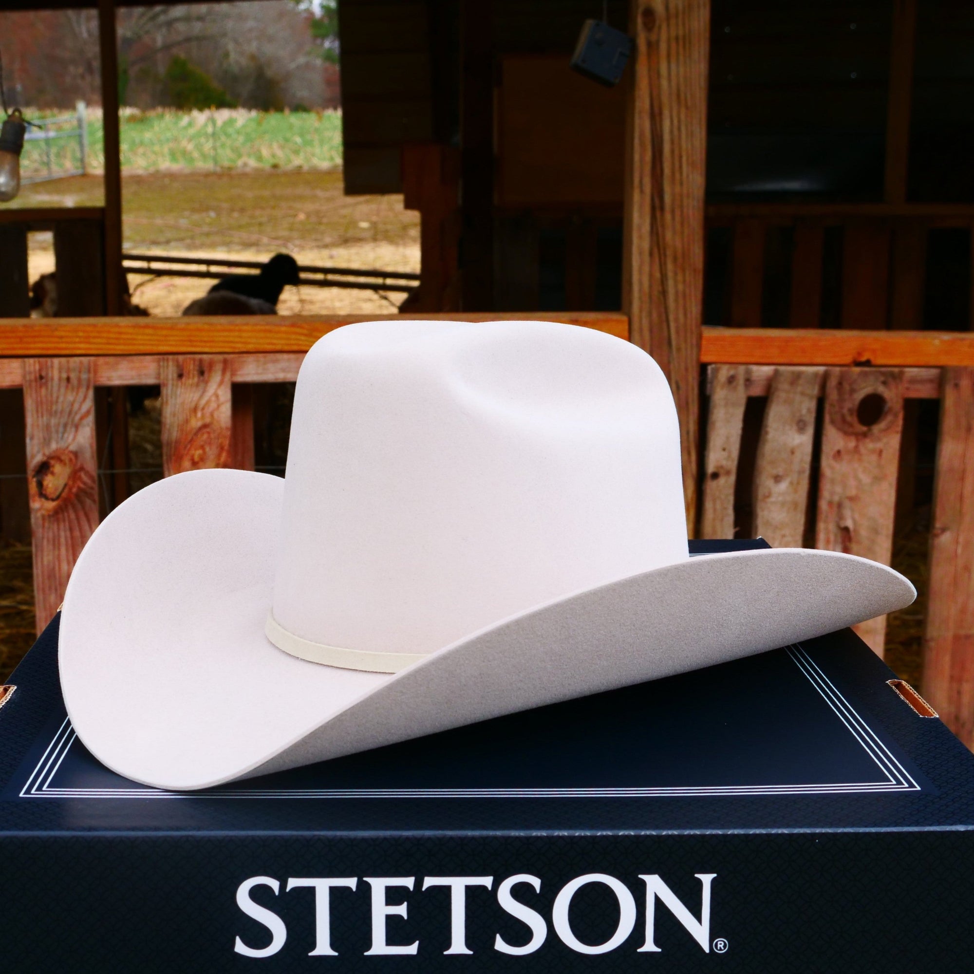 Stetson 100x el presidente cowboy hat 5&quot; crown