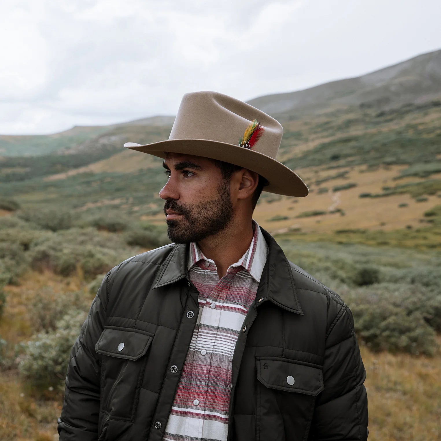 Stetson 6x Range Fawn