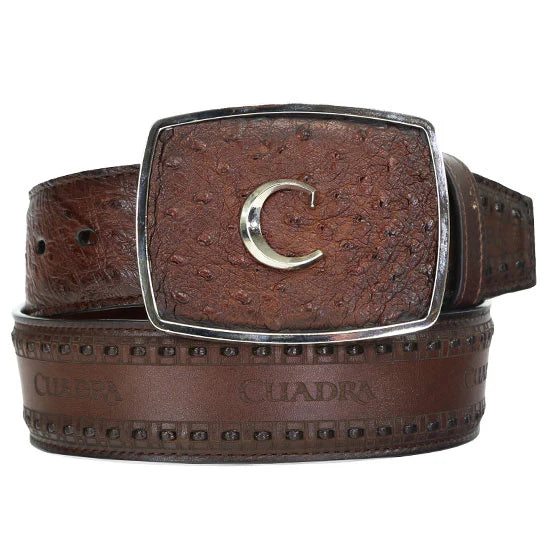 cuadra ostrich belt