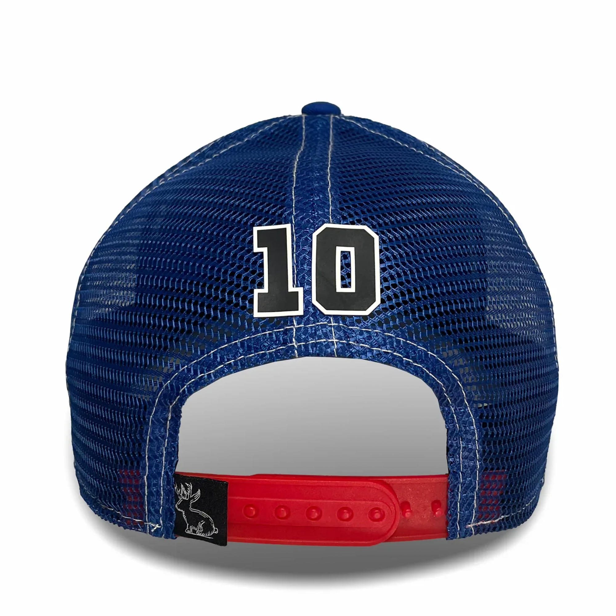 France Cap Blue Snapback