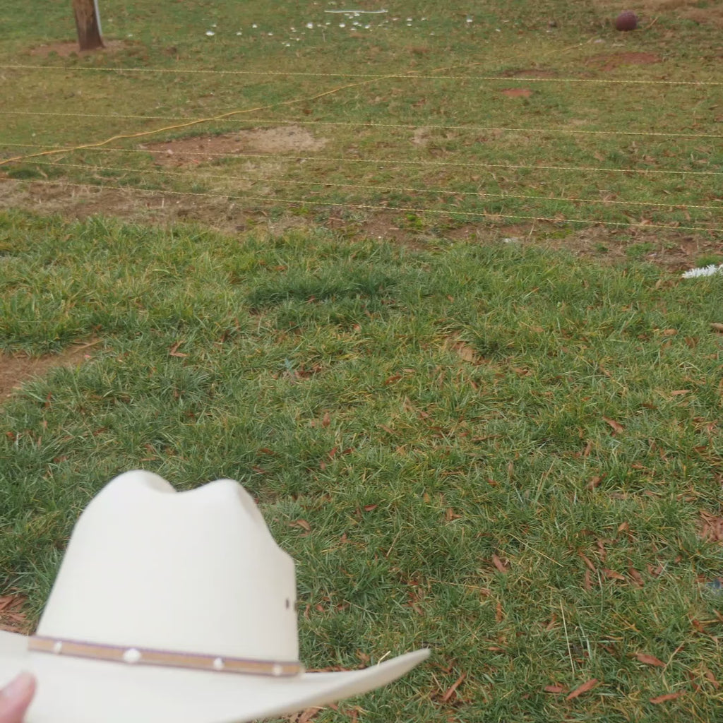 stetson angus straw cowboy hat