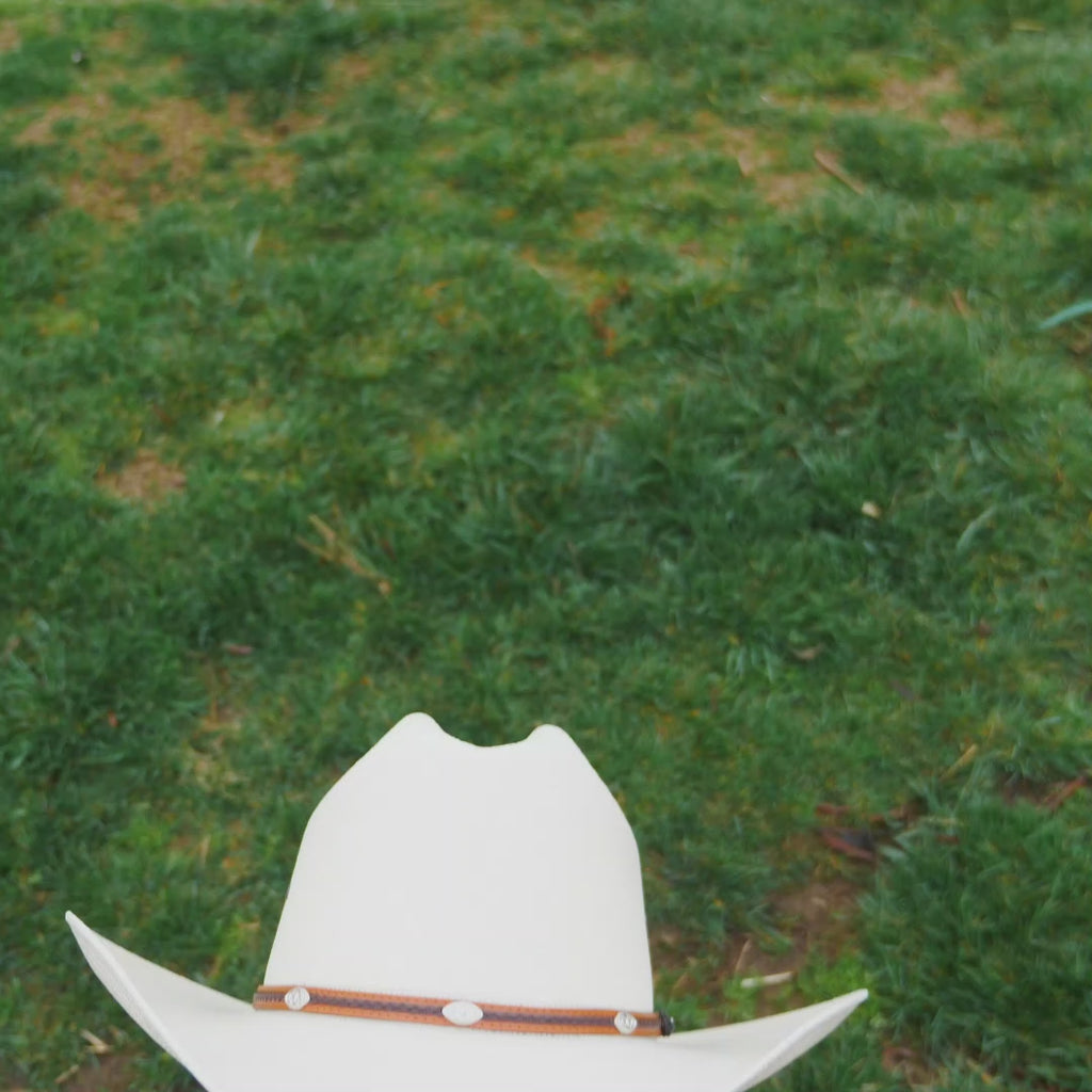 stetson alamo 10x straw hat