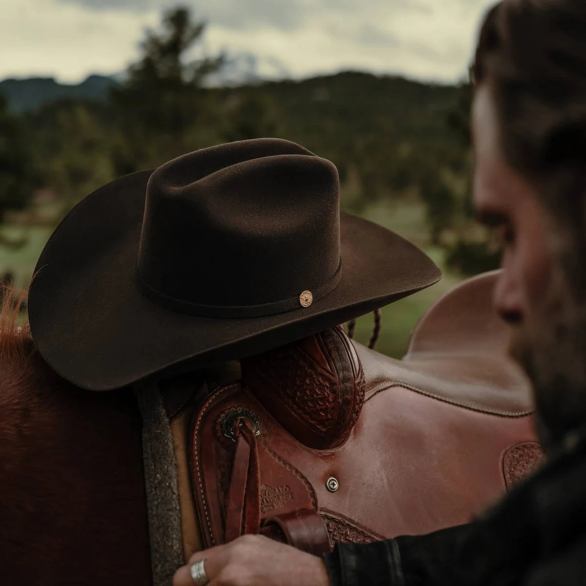 Stetson 100x Golden Eagle 160th Edition Chocolate 7242