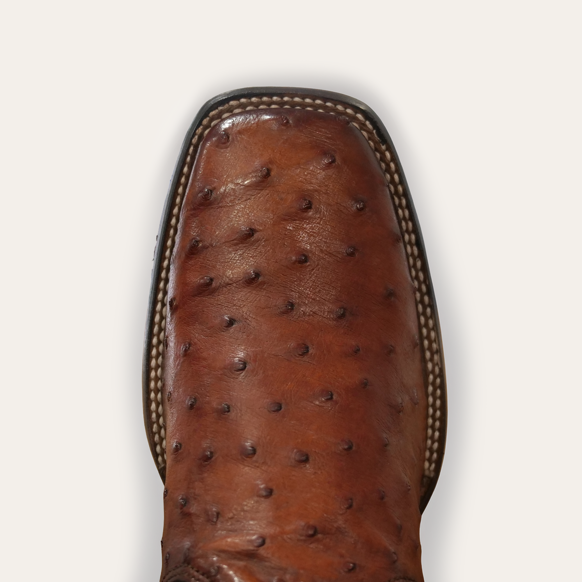 Cuadra Ostrich Zipper Boot CU888