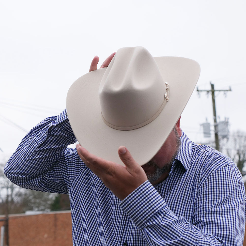 stetson 6x silverbelly