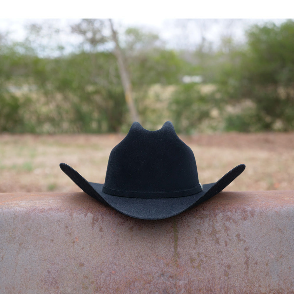 beaver fur cowboy hat