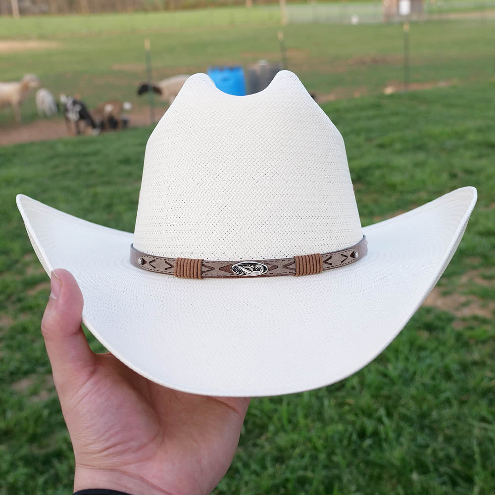 10x straw hat stetson