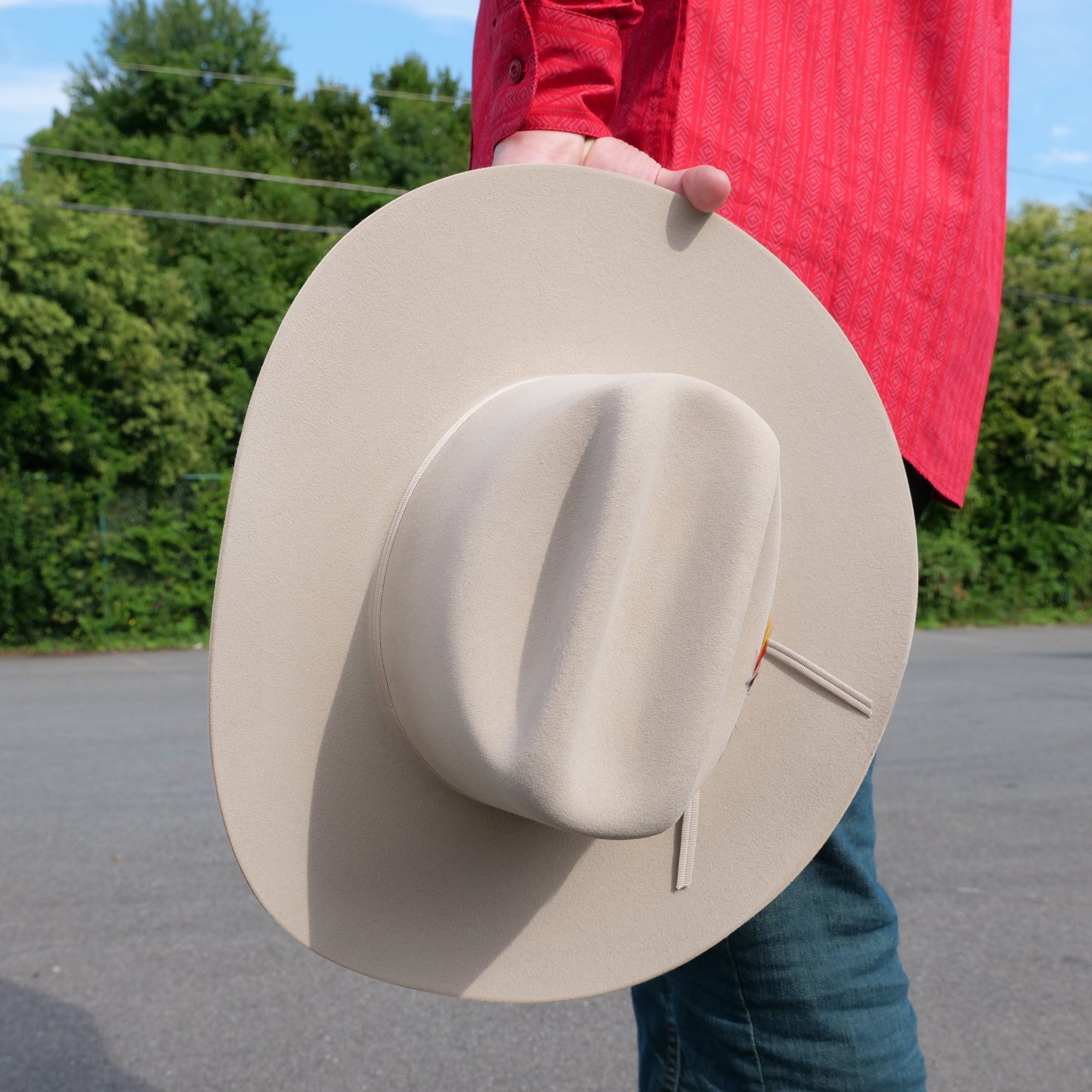 stetson silverbelly hat