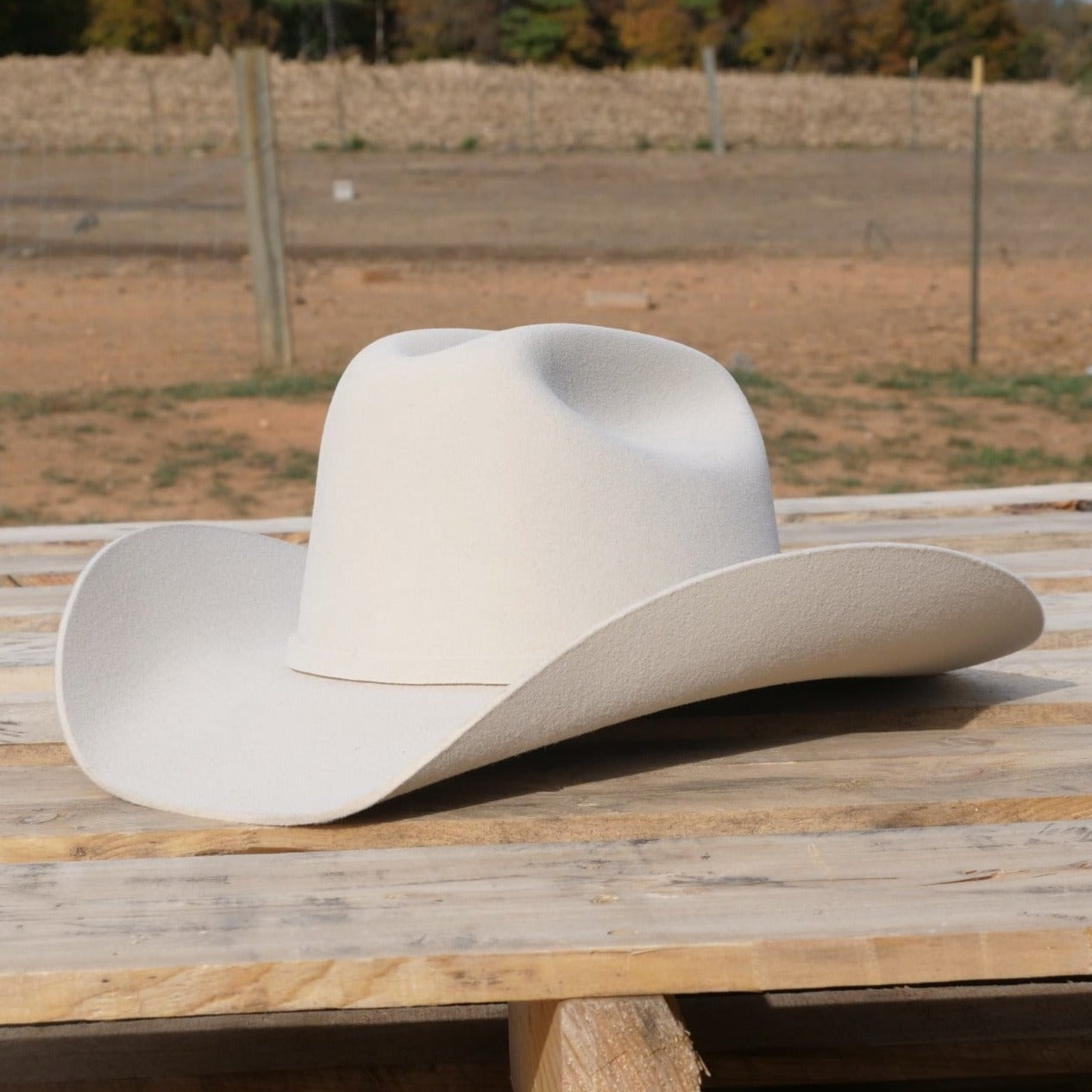 white cowboy hat wool 