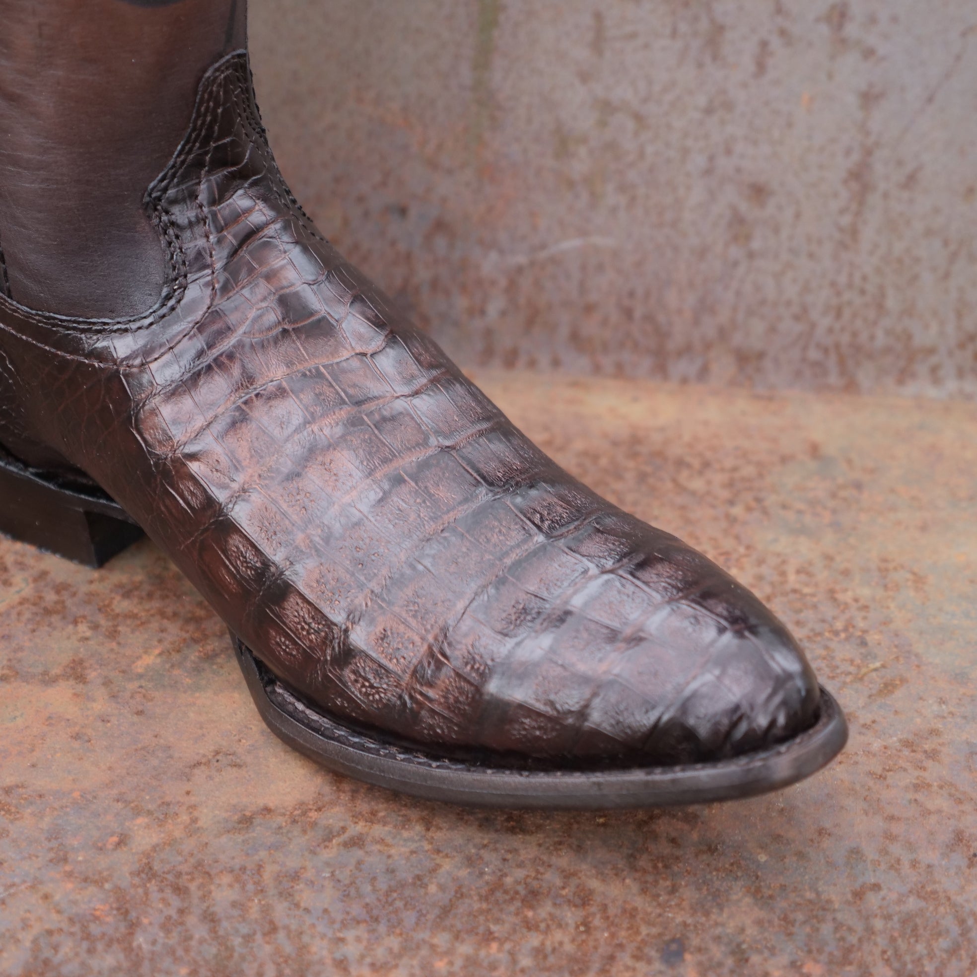 botas cocodrilo caiman