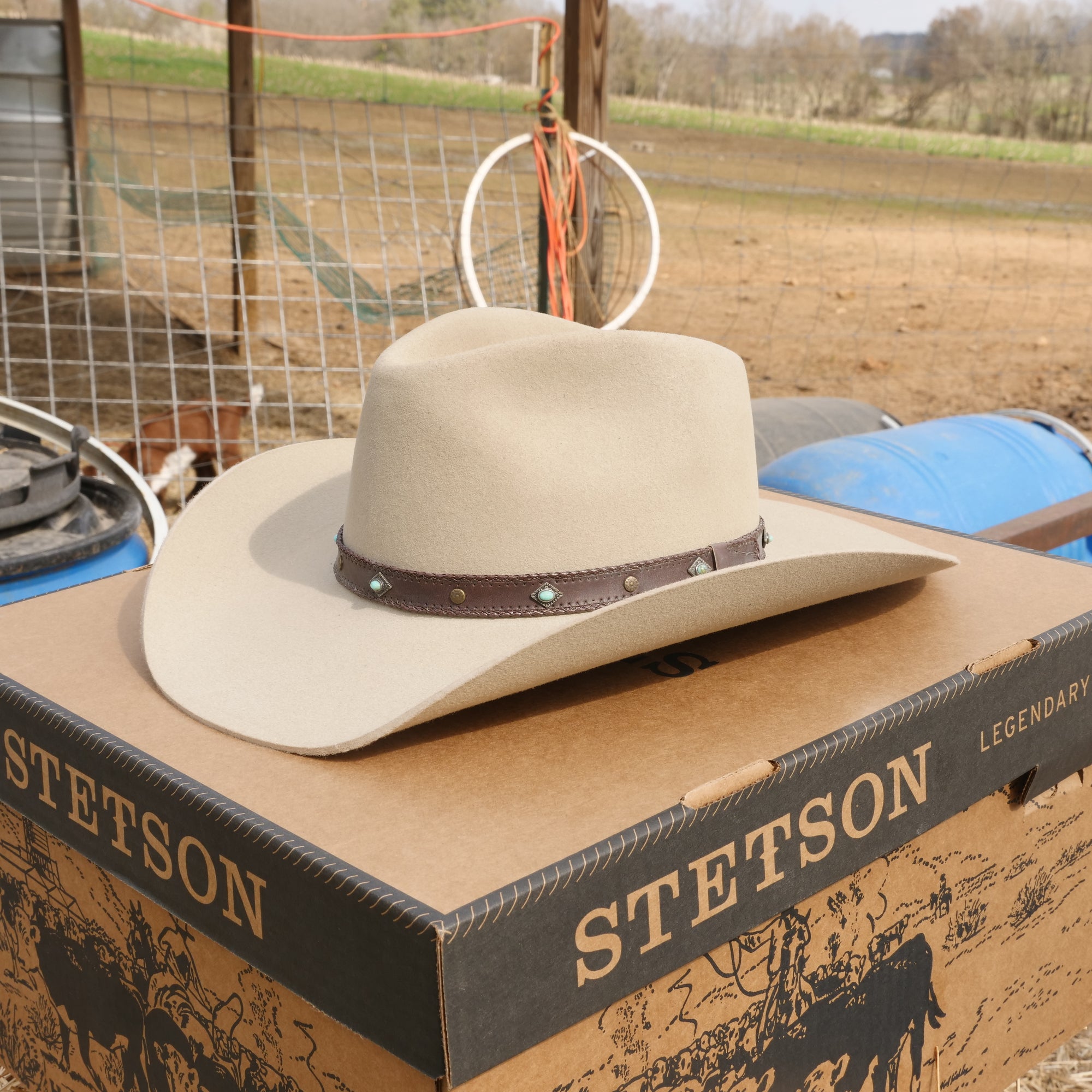 buffalo fur cowboy hat