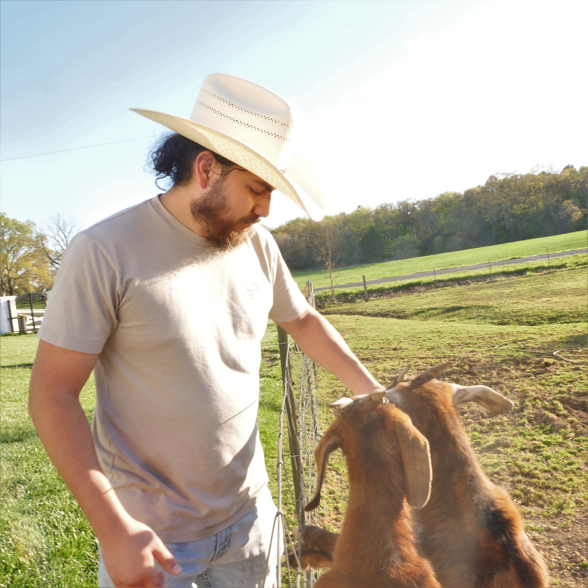 stetson straw cowboy hats for men