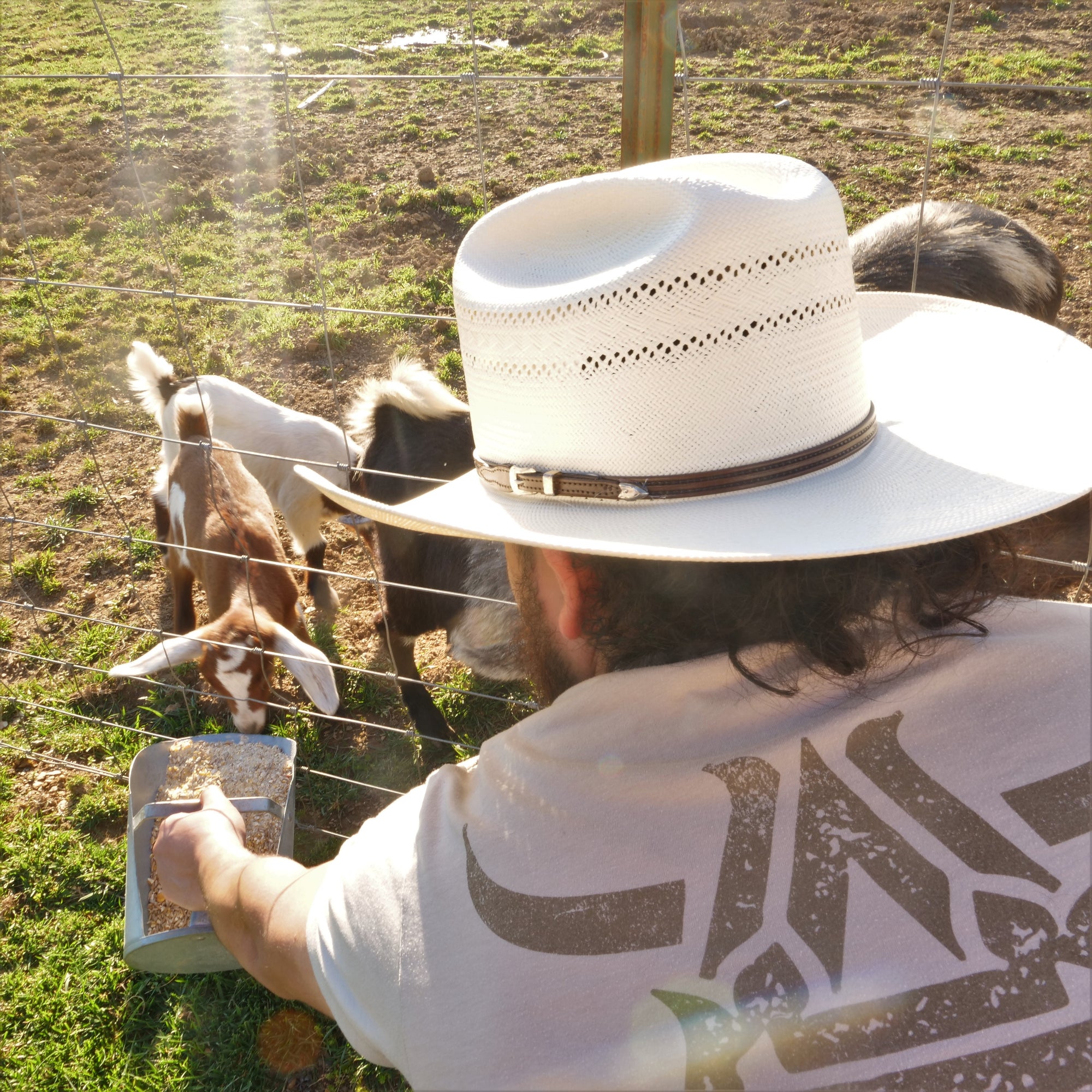 stetson straw cowboy hats for men