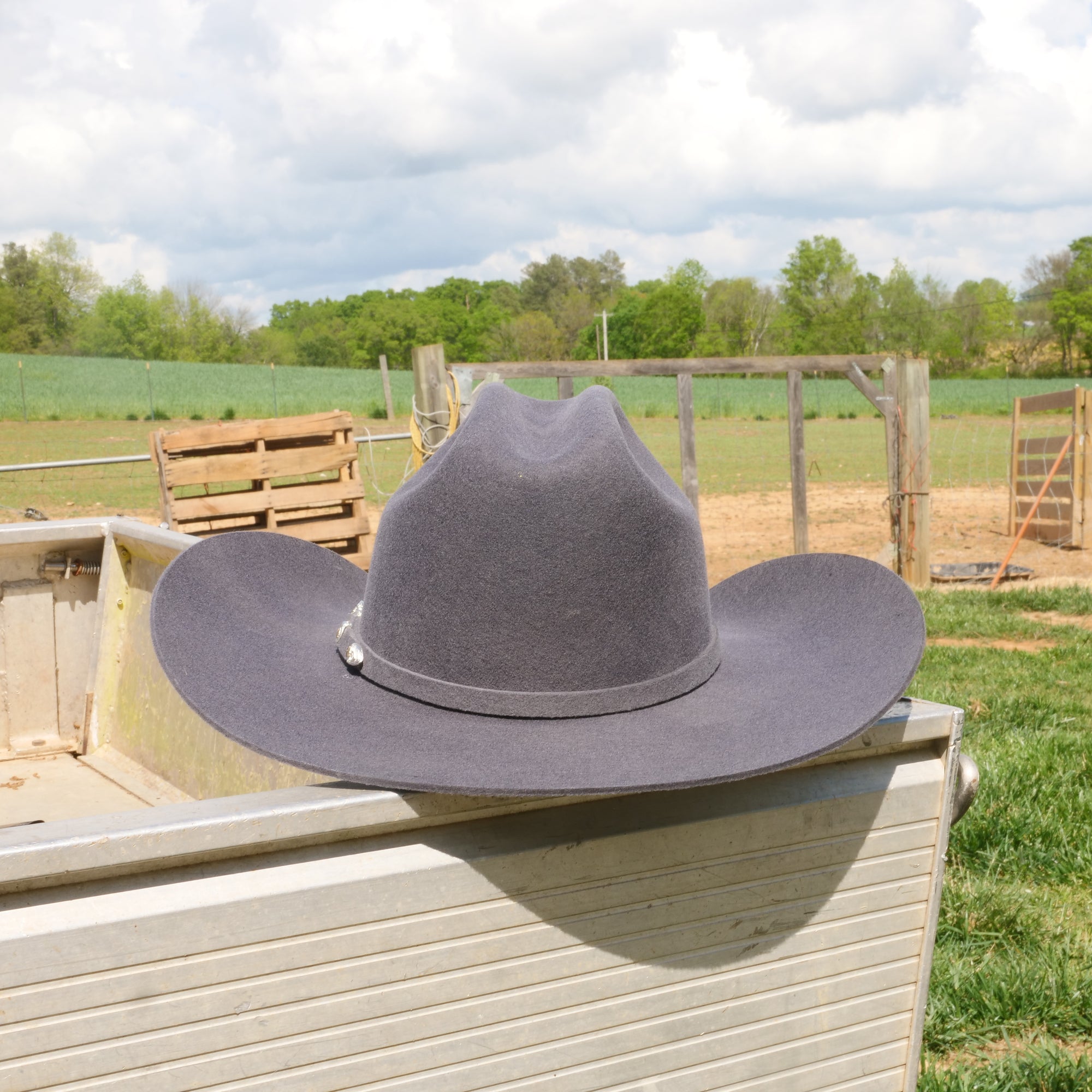 Mens stetson cowboy hats