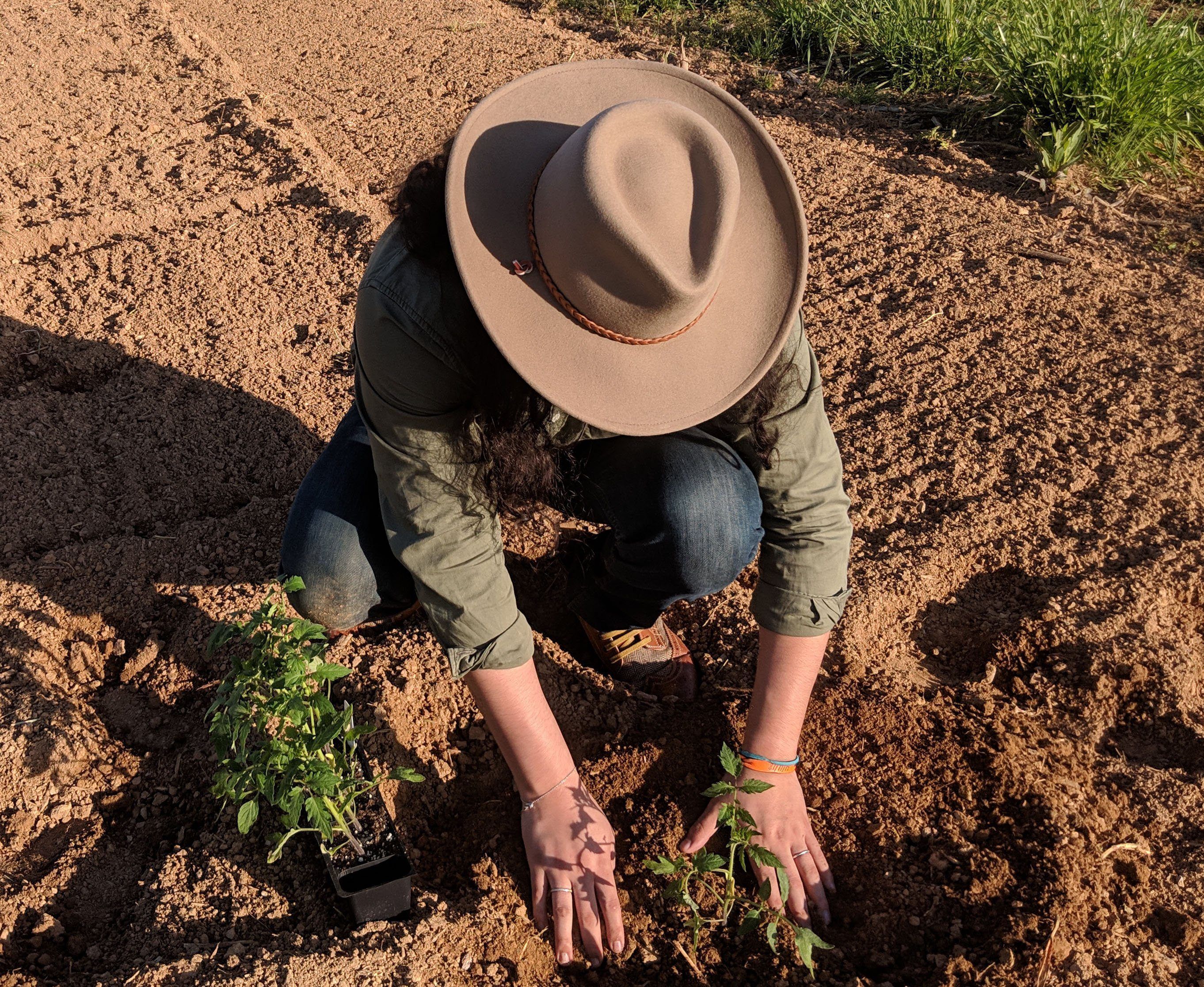 Stetson Crushable Wool Hat Sagebrush – ELP Western